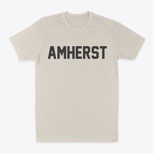 Amherst Wisconsin Classic Block Classic Dad T-Shirt