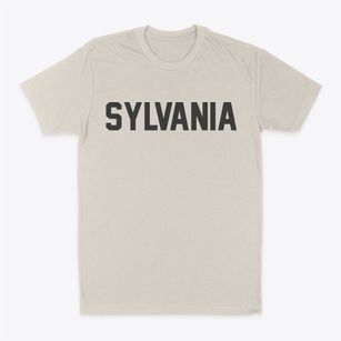 Sylvania Ohio Classic Block Classic Dad T-Shirt