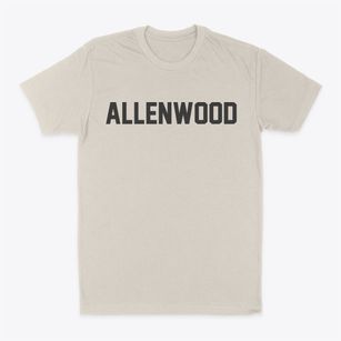 Allenwood Pennsylvania Classic Block Classic Dad T-Shirt