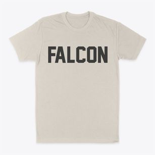 Falcon North Carolina Classic Block Classic Dad T-Shirt