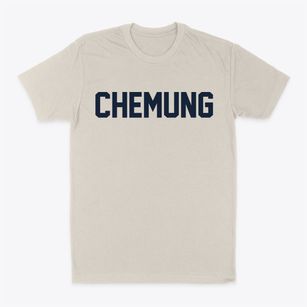 Chemung New York Classic Block Classic Dad T-Shirt