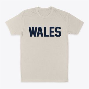 Wales Massachusetts Classic Block Classic Dad T-Shirt