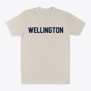 Wellington Utah Classic Block Classic Dad T-Shirt