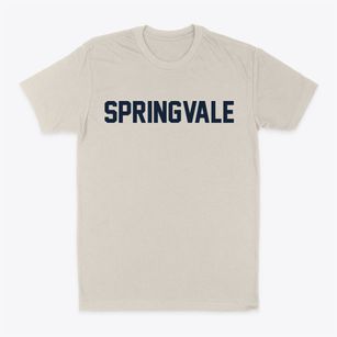 Springvale Wisconsin Classic Block Classic Dad T-Shirt