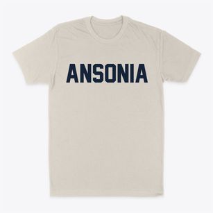 Ansonia Connecticut Classic Block Classic Dad T-Shirt