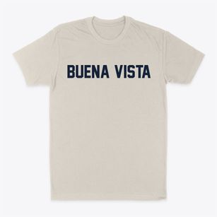 Buena Vista Texas Classic Block Classic Dad T-Shirt