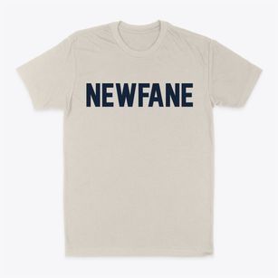 Newfane New York Classic Block Classic Dad T-Shirt
