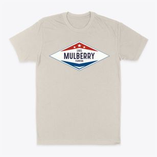 Mulberry Florida Diamond Star Classic Dad T-Shirt