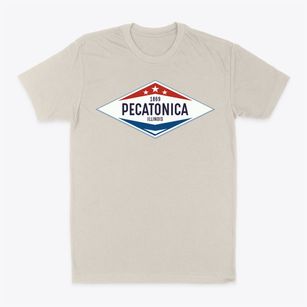 Pecatonica Illinois Diamond Star Classic Dad T-Shirt