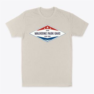 Malverne Park Oaks New York Diamond Star Classic Dad T-Shirt