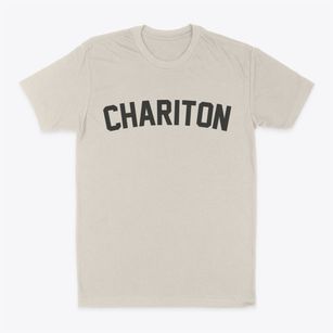Chariton Iowa Classic Curve Classic Dad T-Shirt