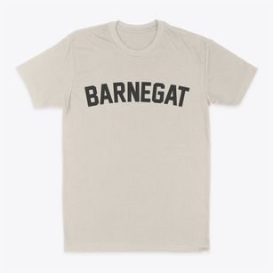 Barnegat New Jersey Classic Curve Classic Dad T-Shirt