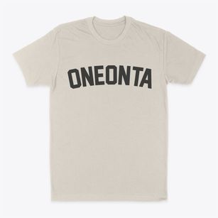 Oneonta New York Classic Curve Classic Dad T-Shirt