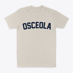 Osceola Iowa Classic Curve Classic Dad T-Shirt