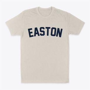 Easton New York Classic Curve Classic Dad T-Shirt