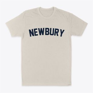 Newbury New Hampshire Classic Curve Classic Dad T-Shirt