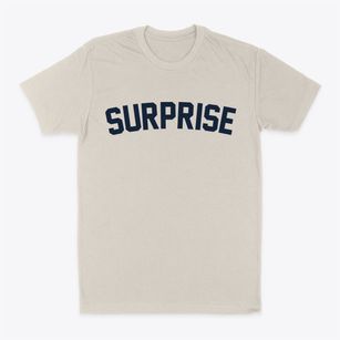 Surprise Arizona Classic Curve Classic Dad T-Shirt