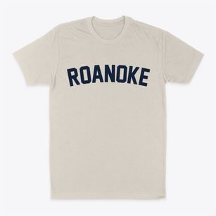 Roanoke Virginia Classic Curve Classic Dad T-Shirt