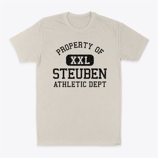 Steuben New York Athletic Dept Classic Dad T-Shirt