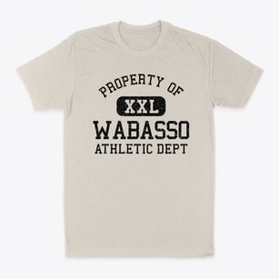 Wabasso Minnesota Athletic Dept Classic Dad T-Shirt