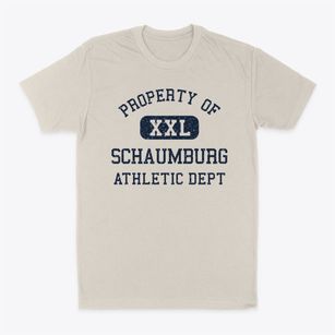 Schaumburg Illinois Athletic Dept Classic Dad T-Shirt