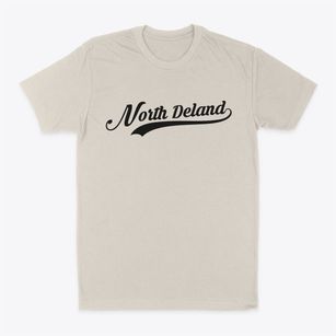 North Deland Florida Vintage Team Classic Dad T-Shirt