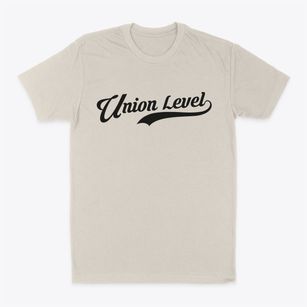 Union Level Virginia Vintage Team Classic Dad T-Shirt