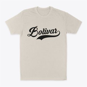 Bolivar Missouri Vintage Team Classic Dad T-Shirt