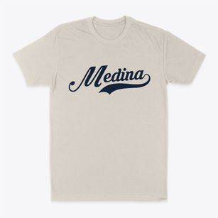 Medina Wisconsin Vintage Team Classic Dad T-Shirt