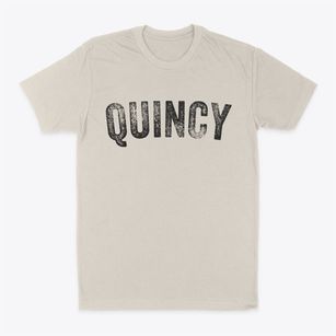 Quincy Illinois Timeless Retro Classic Dad T-Shirt