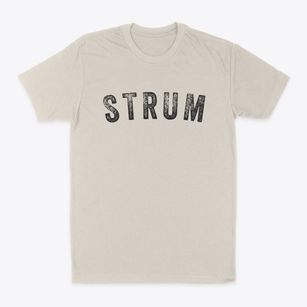 Strum Wisconsin Timeless Retro Classic Dad T-Shirt