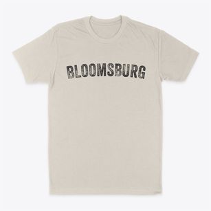 Bloomsburg Pennsylvania Timeless Retro Classic Dad T-Shirt