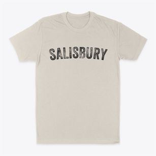 Salisbury New York Timeless Retro Classic Dad T-Shirt