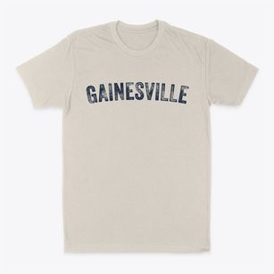 Gainesville New York Timeless Retro Classic Dad T-Shirt