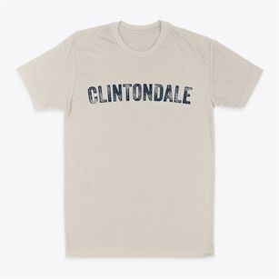 Clintondale New York Timeless Retro Classic Dad T-Shirt