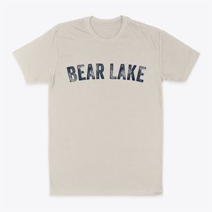 Bear Lake Wisconsin Timeless Retro Classic Dad T-Shirt