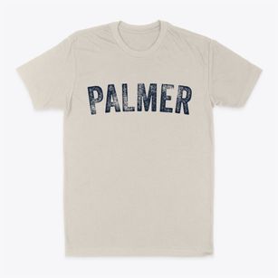 Palmer Illinois Timeless Retro Classic Dad T-Shirt