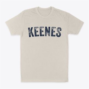 Keenes Illinois Timeless Retro Classic Dad T-Shirt
