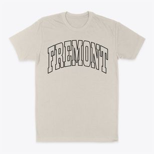 Fremont Michigan Trendy Block Classic Dad T-Shirt