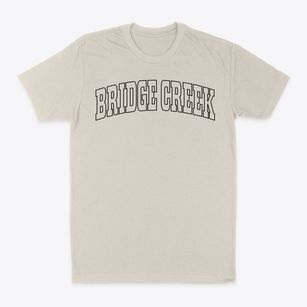 Bridge Creek Wisconsin Trendy Block Classic Dad T-Shirt