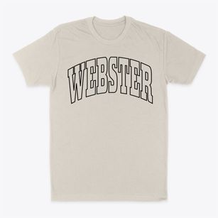 Webster New Hampshire Trendy Block Classic Dad T-Shirt