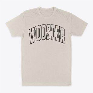 Wooster Ohio Trendy Block Classic Dad T-Shirt