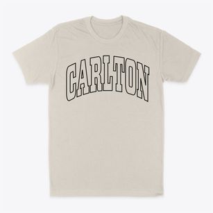 Carlton Wisconsin Trendy Block Classic Dad T-Shirt