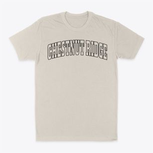 Chestnut Ridge New York Trendy Block Classic Dad T-Shirt