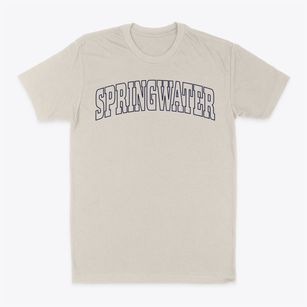 Springwater New York Trendy Block Classic Dad T-Shirt