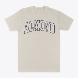 Almond New York Trendy Block Classic Dad T-Shirt