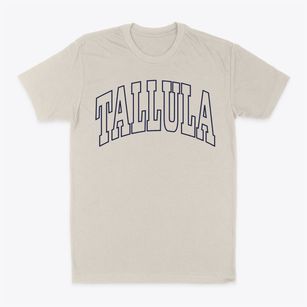 Tallula Illinois Trendy Block Classic Dad T-Shirt
