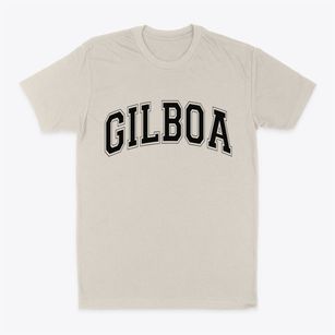 Gilboa New York Varsity Classic Dad T-Shirt