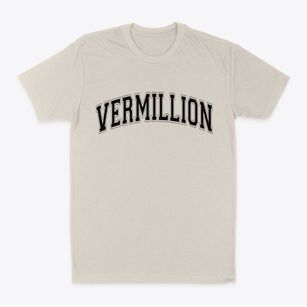 Vermillion Minnesota Varsity Classic Dad T-Shirt