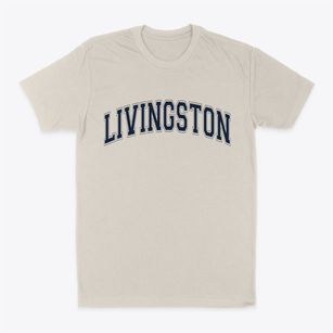 Livingston New York Varsity Classic Dad T-Shirt